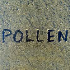 pollen