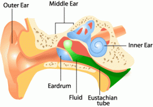 Ear tube surgery
