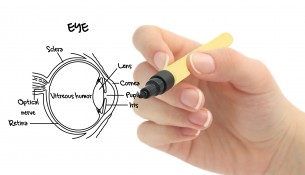 glaucoma diagram