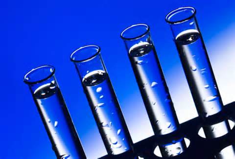 Online lab reports